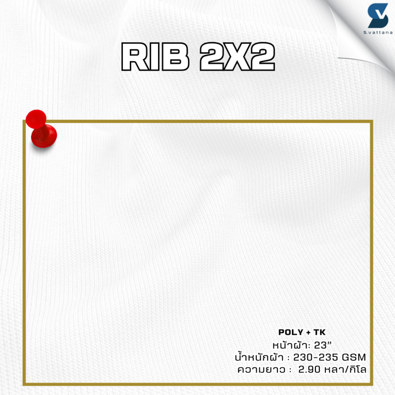 RIB 2x2